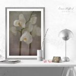 Orchid Poster above desk